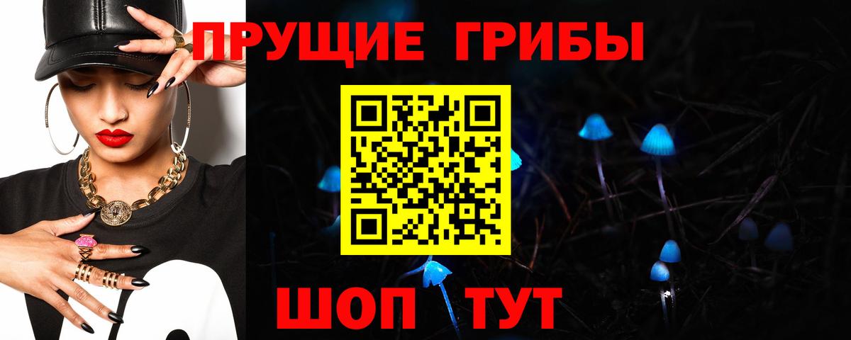 Псилоцибиновые грибы Cubensis Алексеевка